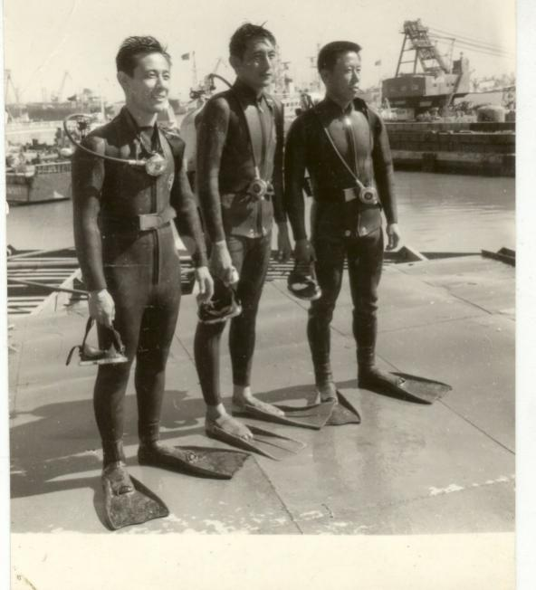 追憶林尚揚(yáng)院士